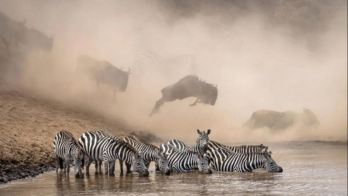برنده مسابقه اینستاگرامی عکس نشنال جئوگرافیک+عکس
