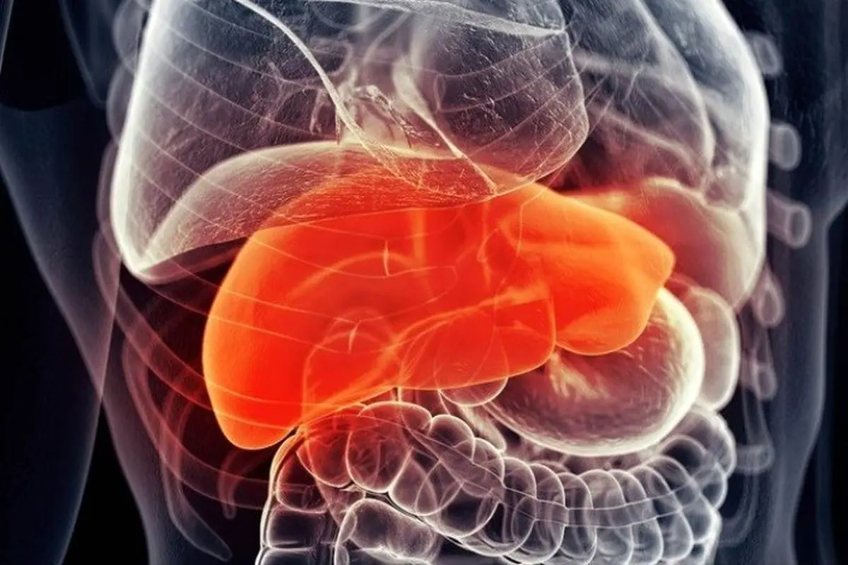 با این مواد کبد خود را پاکسازی کنید