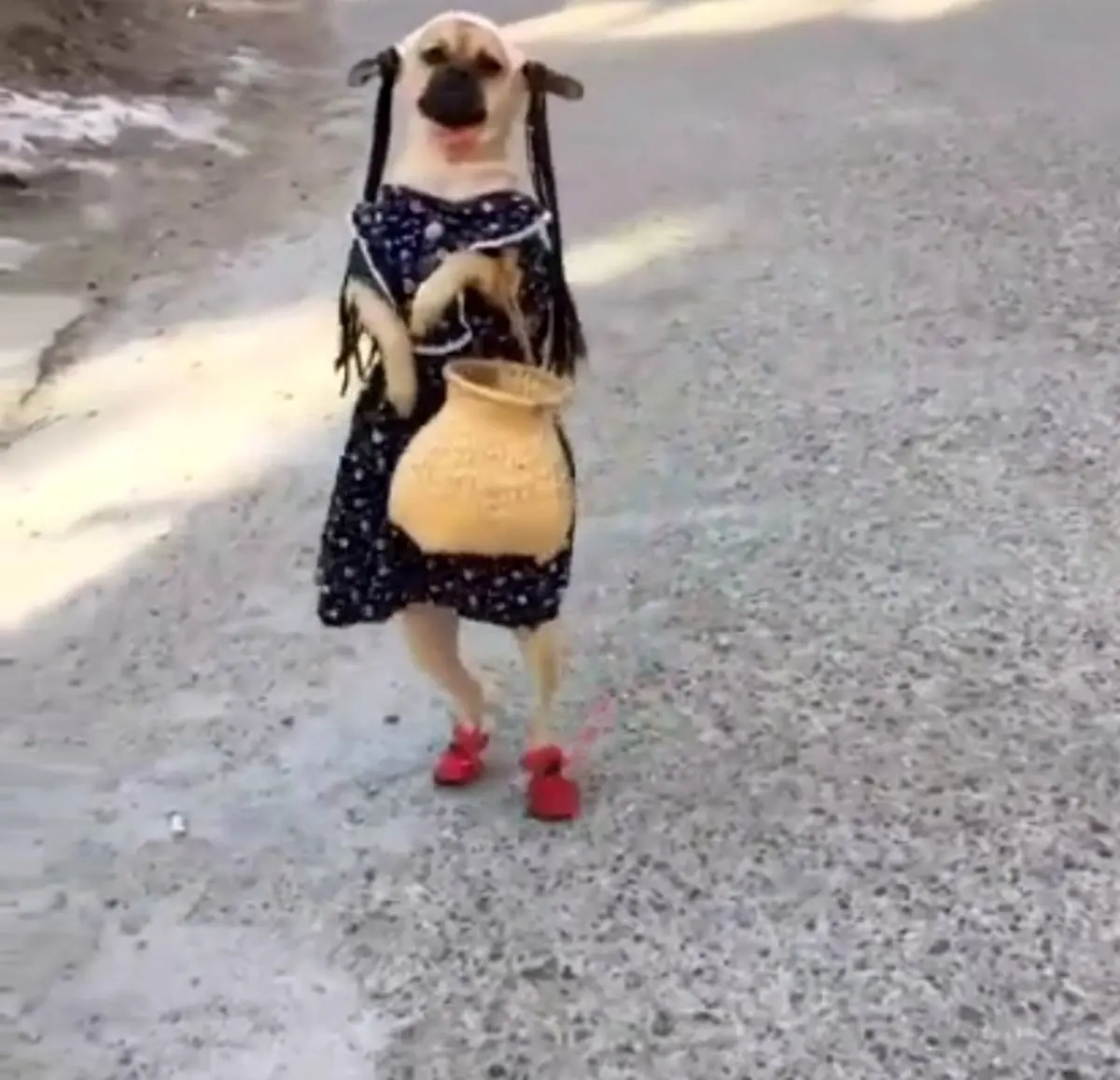 خوش استایل ترین مدل سال