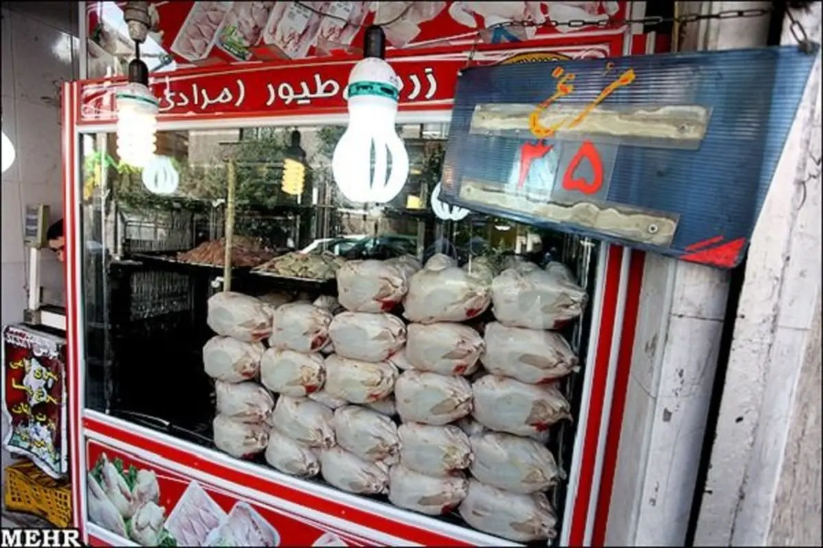 مرغ با قیمت ۱۱۵۰۰ تومان در قزوین عرضه می شود