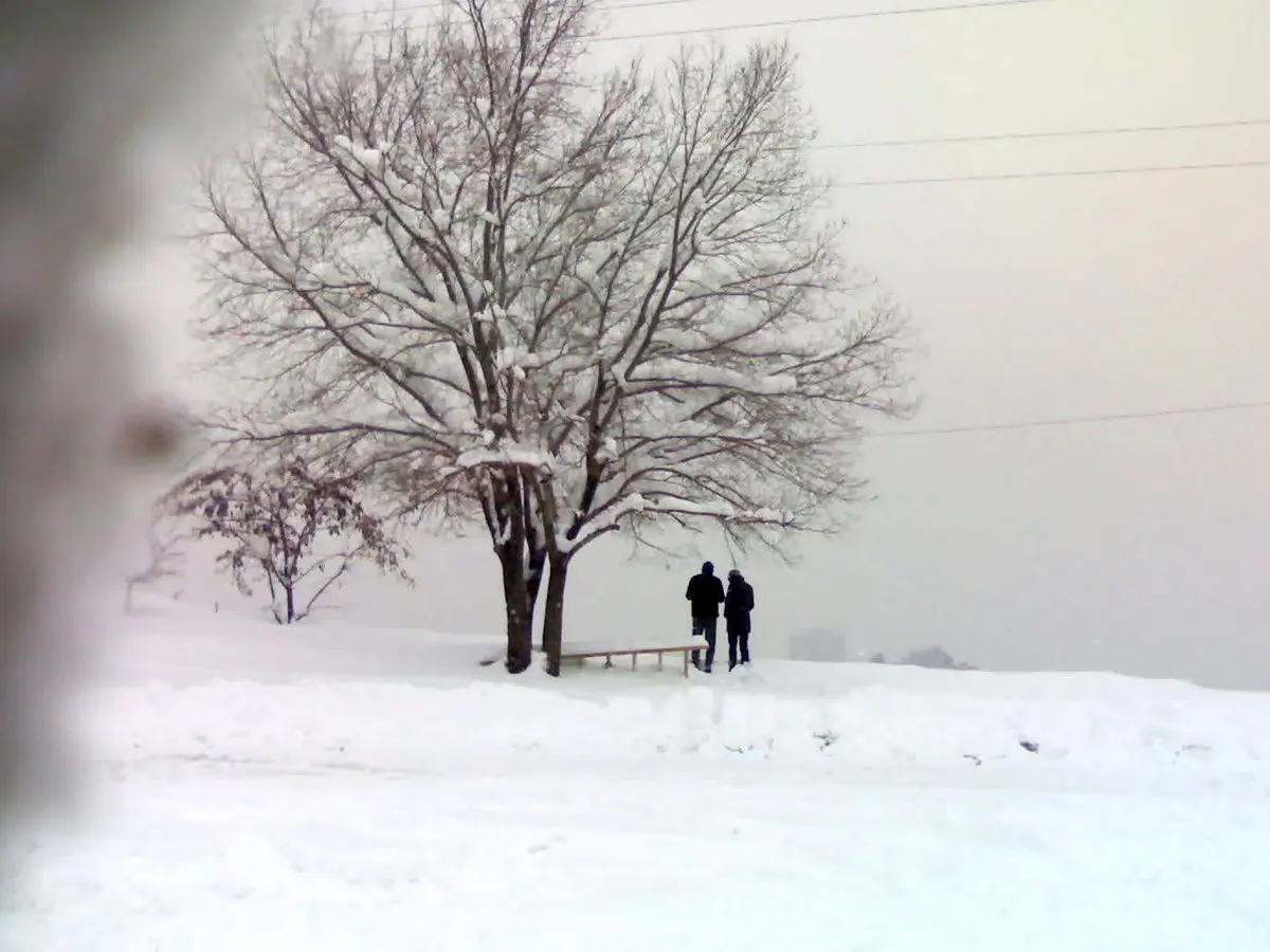 قطعه "زمستون" افشین مقدم
