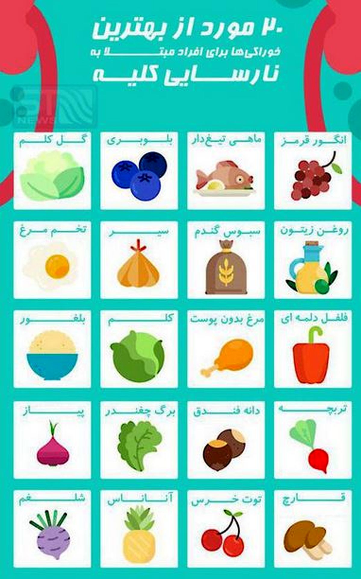 افراد مبتلا به نارسایی کلیه این خوراکیها را مصرف کنند+ اینفوگرافی
