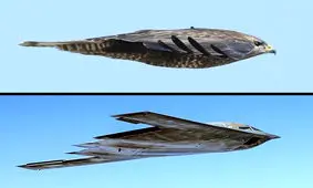 حقایق جالبی درباره هواپیما‌ها و شغل خلبانی که نمی‌دانستید