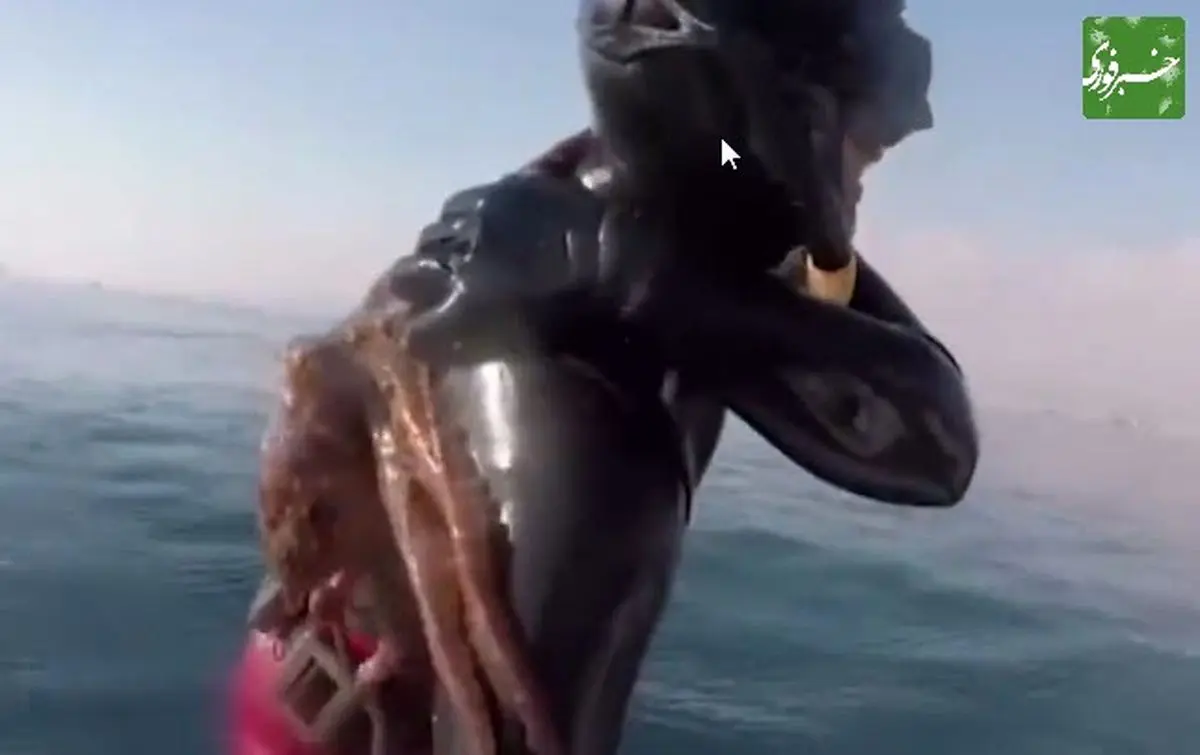 اتفاقی عجیب پس از غواصی در دریا + فیلم