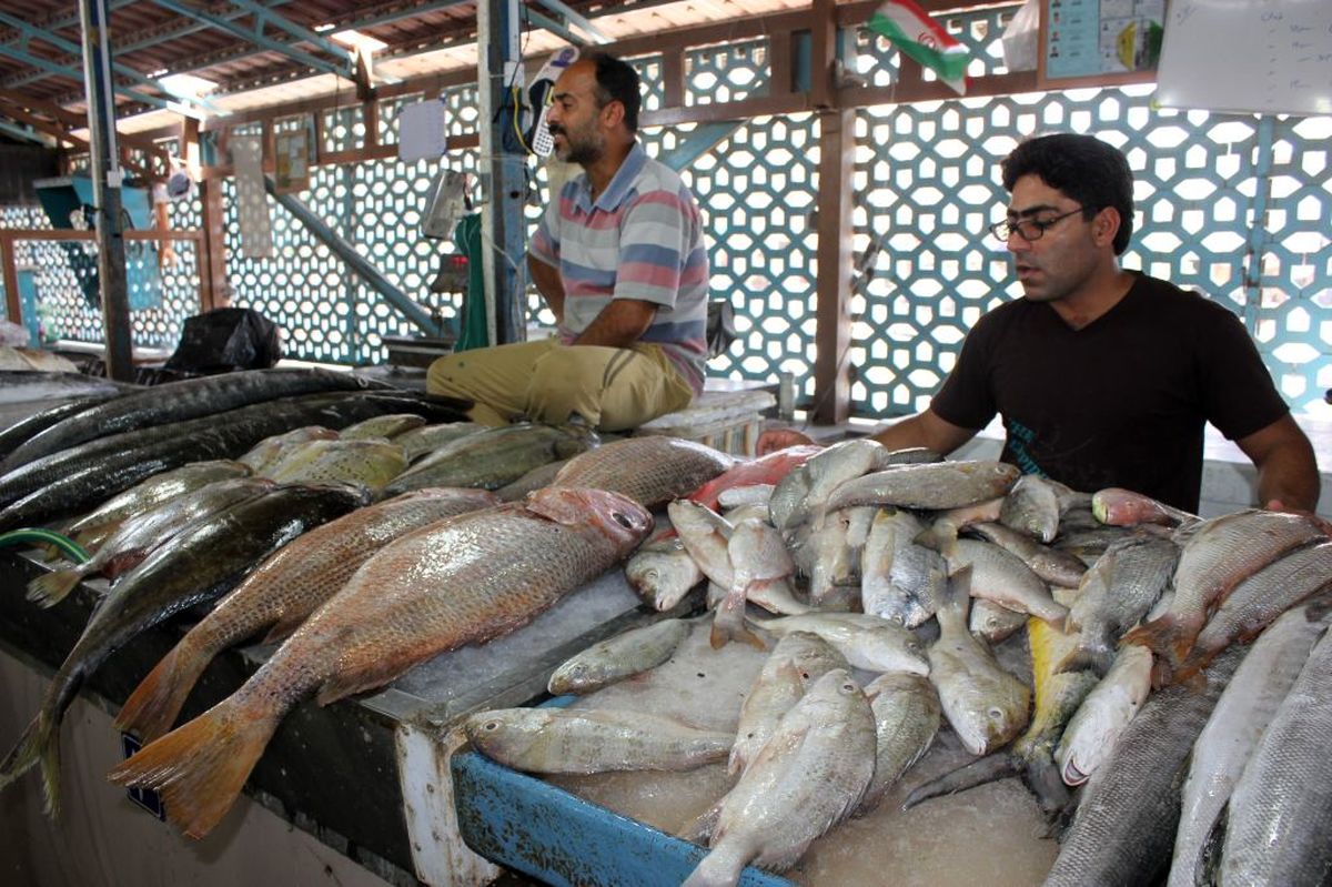 قیمت انواع ماهی منجمد در غرفه تره بار