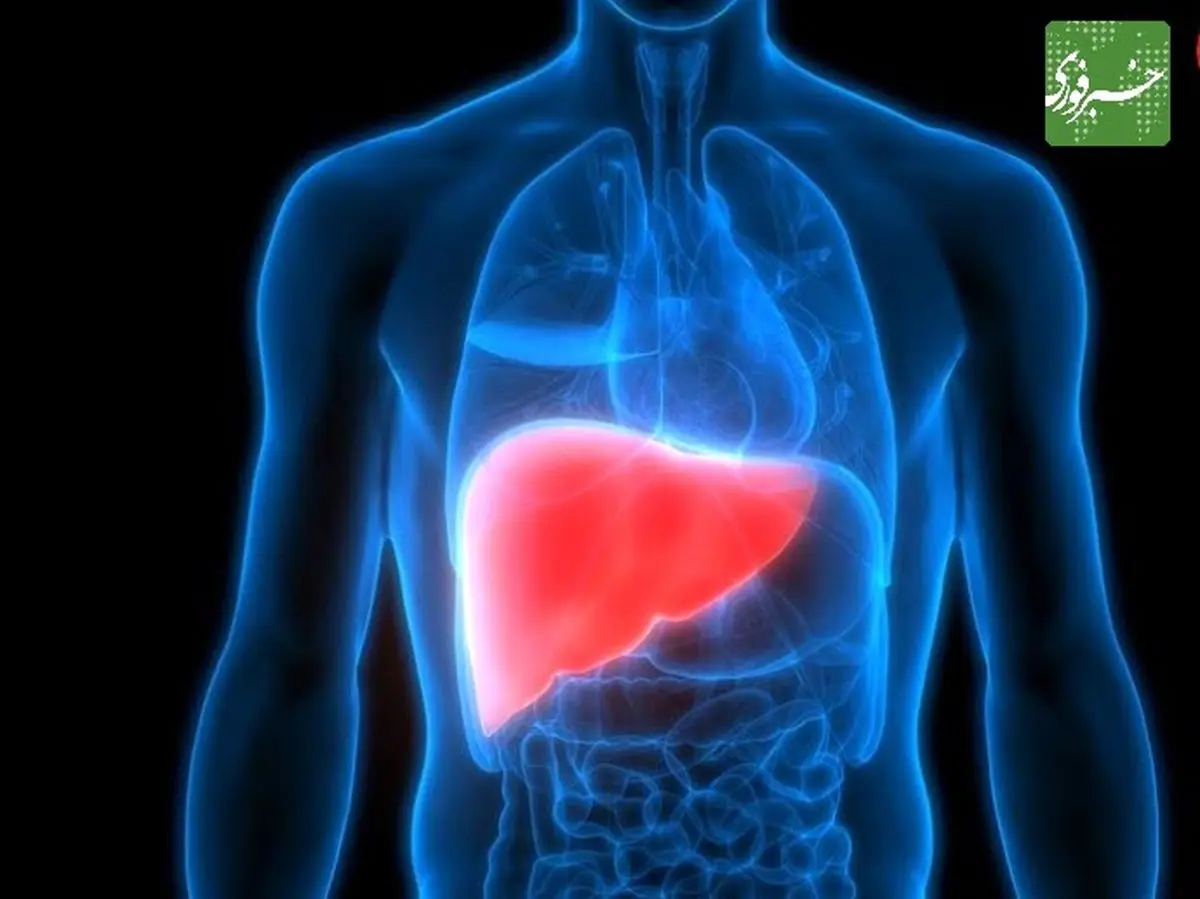 هشدارهایی که خبر از بیماری کبد می دهند