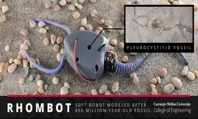 موجود ۴۵۰ میلیون ساله به زندگی برگشت!