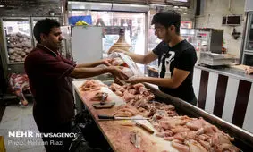 مرغ از مغازه‌های کرمان پر کشید / مردم: با سودجویان برخورد کنید