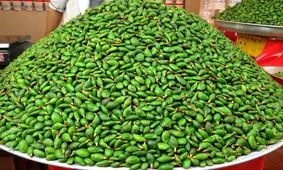 چاقاله بادوم اومده کیلویی ۴۰۰ هزار تومن!