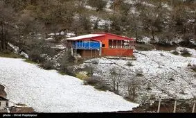 دولت از صندوق حمایت منابع طبیعی استان اصفهان ۴۹ درصد سهم دارد