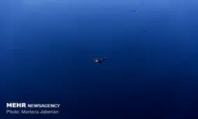 کشف ۲۷ هزار لیتر مالچ نفتی قاچاق در آبادان