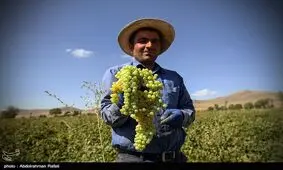 شهر جهانی و ملی انگور و منبت در جذب گردشگر پیشتاز شود