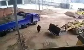 فیلم لحظه هولناک از سهل انگاری راننده بولدوزر