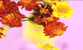 چندتا ترفند جالب و خلاقانه با بطری آب معدنی