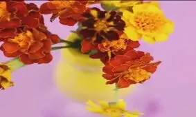 چندتا ترفند جالب و خلاقانه با بطری آب معدنی