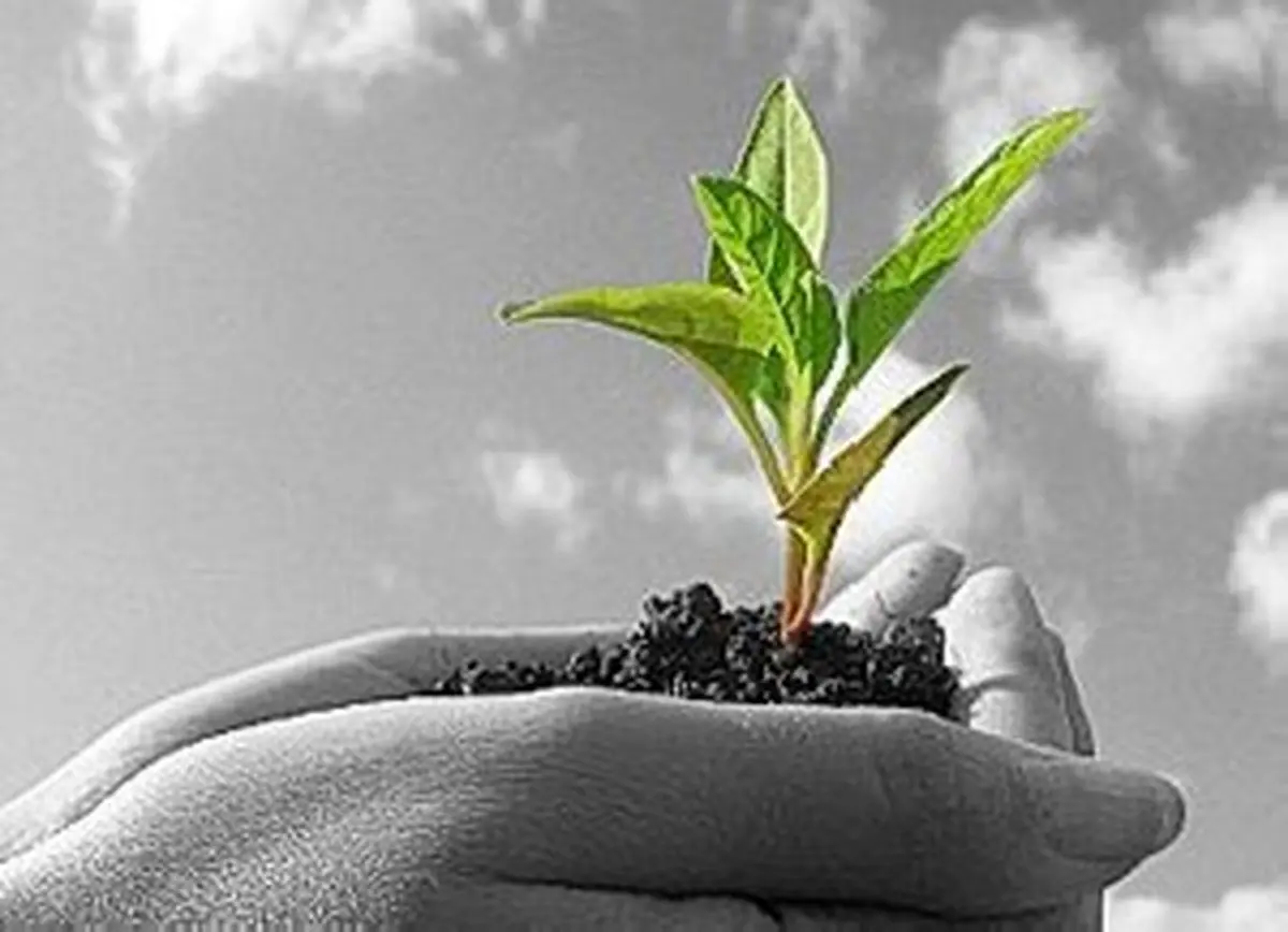 خوش‌ بینی، دشمنِ امید است