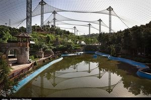 باغ پرندگان قم تابستان سال ۹۸ افتتاح می‌شود