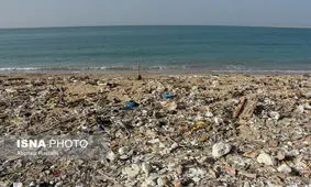 حرف دل یکی از ریش سفیدان بوشهری در واکنش به زباله های ساحل عسلویه+فیلم