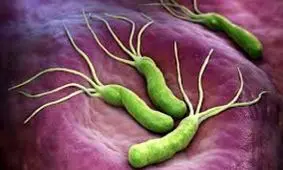 کاهش انگل ها با گرمایش زمین