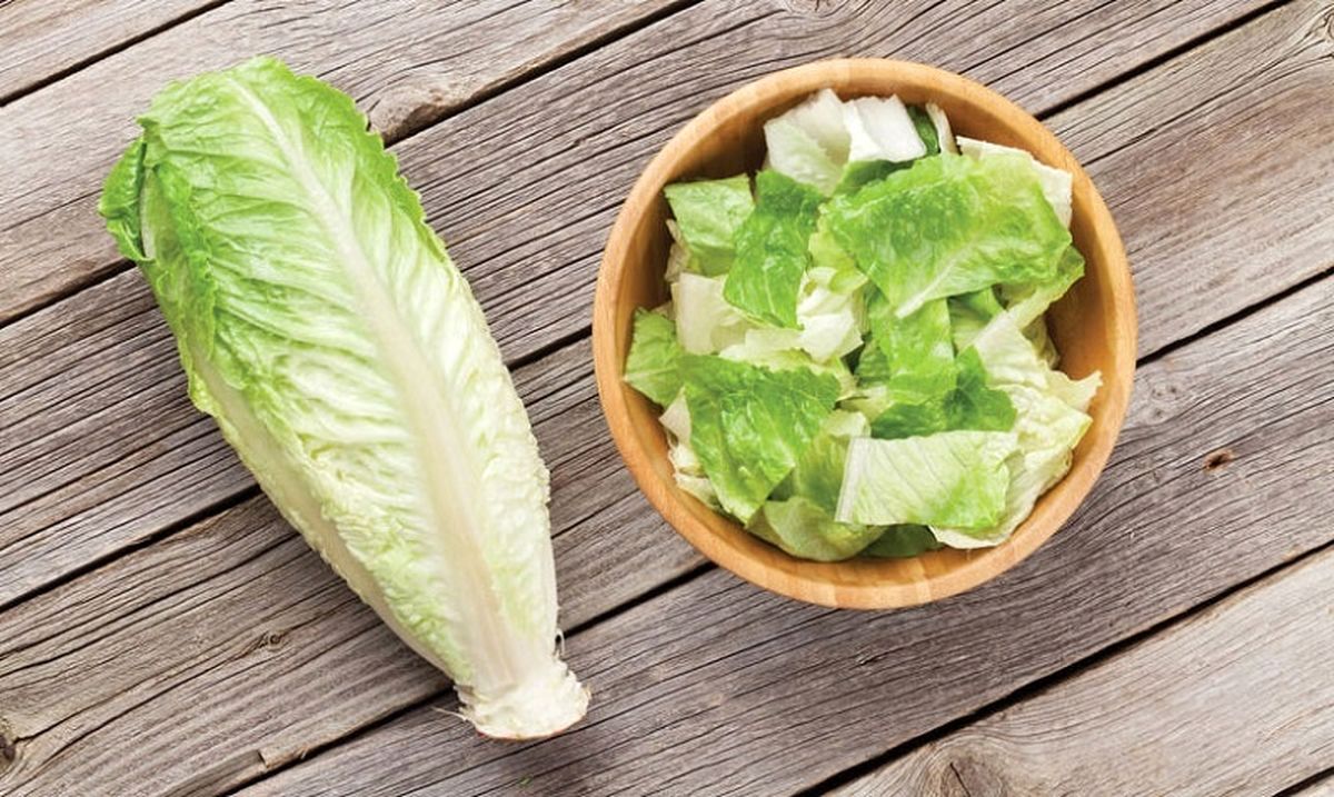 بهترین روش شستوشوی کاهو چگونه است؟