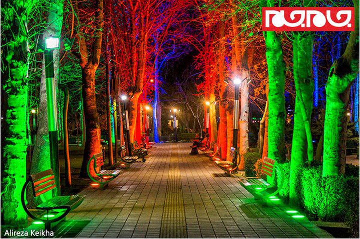 به مناسبت روز درختكاری درختها را چراغانی نکنیم
