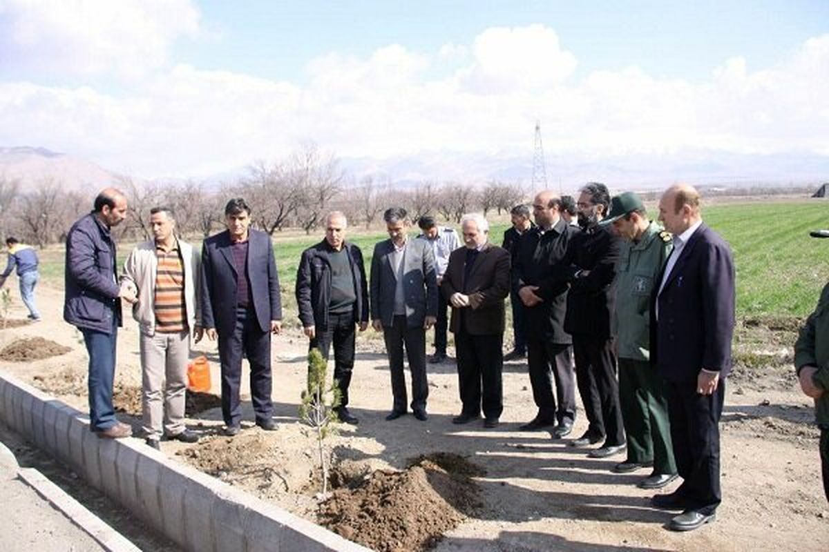 ۴۰۰۰ اصله نهال رایگان در شهر مرند توزیع شد