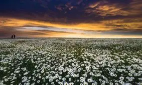 گذری به بهشت پنهان ایران زمین