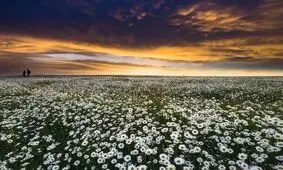 گذری به بهشت پنهان ایران زمین