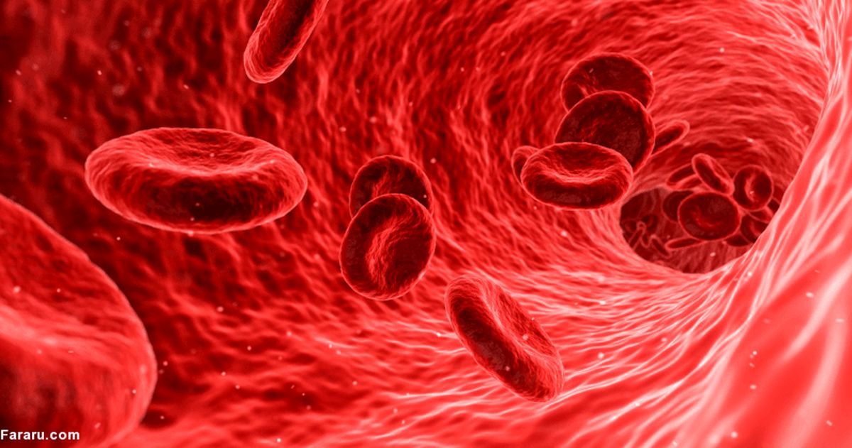 همه چیز درباره غلظت خون؛ از علائم تا پیشگیری و درمان