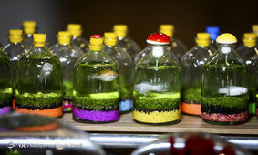 فروش ماهی‌های ممنوعه در نمایشگاه‌های بهاره/ محیط زیست: برخورد می‌کنیم