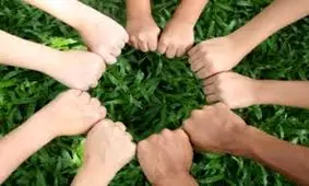 اقدامات جدی بانک ملّی ایران برای جلوگیری از قطع درختان