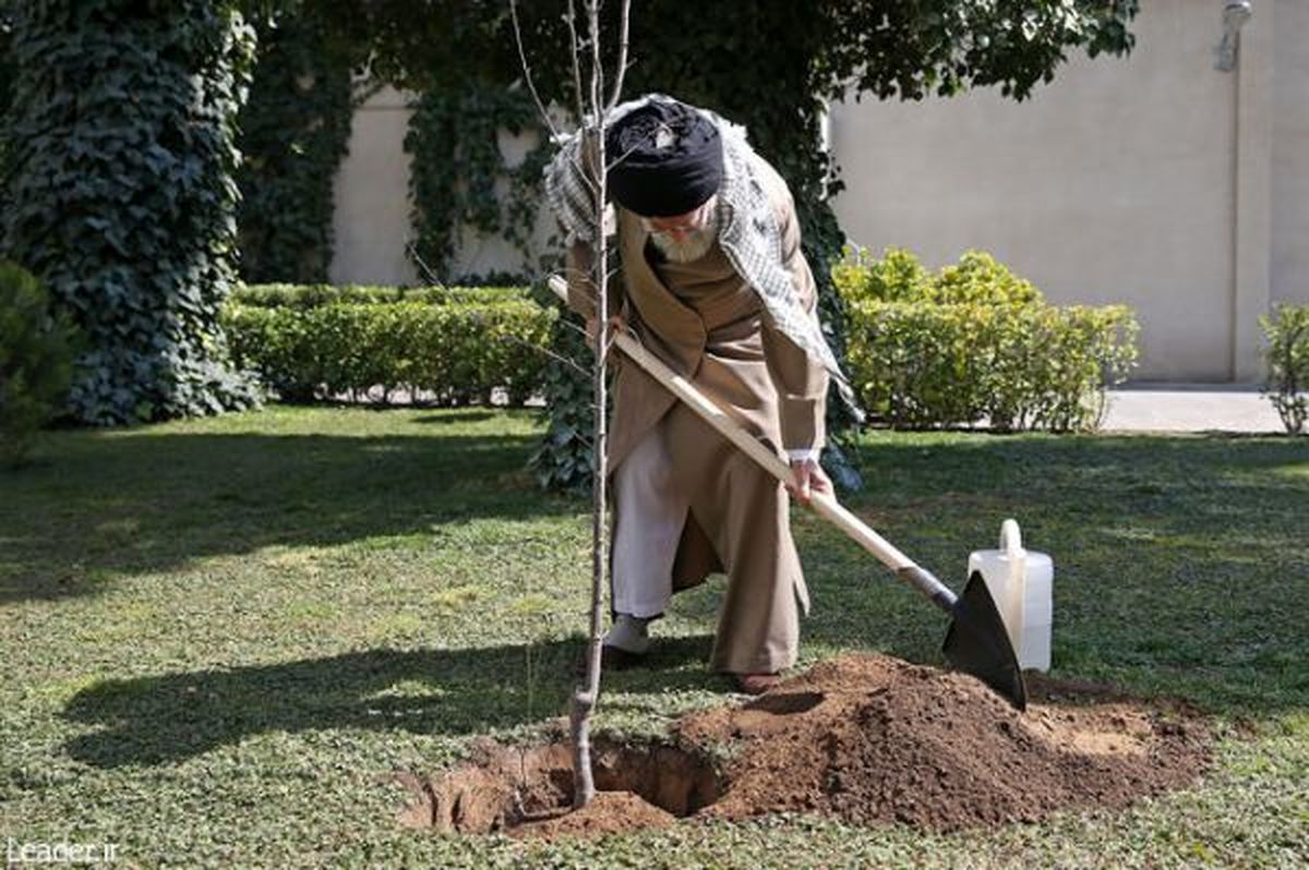 رهبر انقلاب: حفظ پوشش گیاهی باید جایگاه واقعی خود را در فرهنگ عمومی پیدا کند