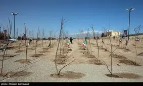 بخشی از کرج برای جلوگیری از ریزگردها درختکاری می‌شود