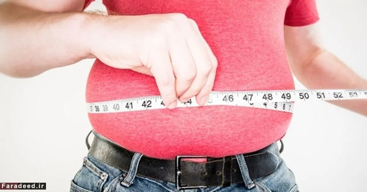 غذاهایی که چربی دور شکم را از بین می‌برند