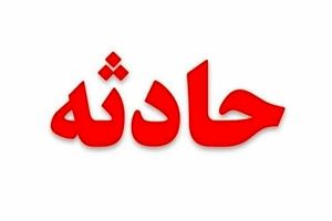 مرد روانی پس از تماشای یک فیلم همسرش کشت
