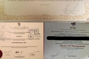 سلطان جعل مدرک دستگیر شد!