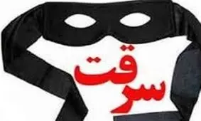 سرقت‌ها در گلستان ۲۰ درصد افزایش یافت