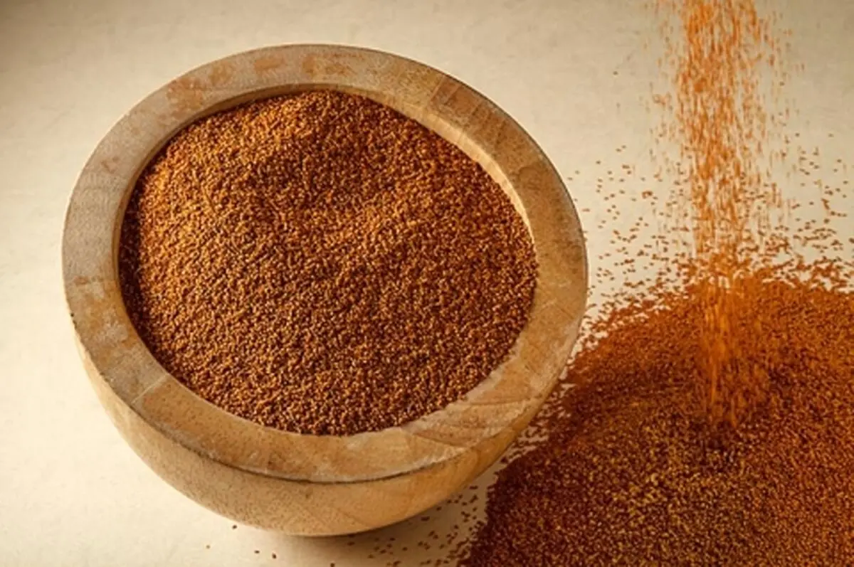 دانستنی هایی درباره مضرات خاکشیر