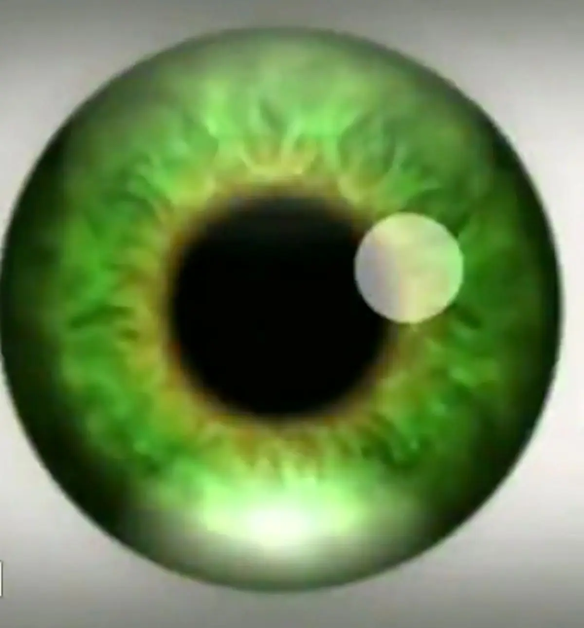 بعد از دیدن این " موزیک ویدئو " دچار توهم میشوید !