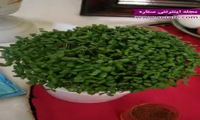 طرز تهیه سبزه کنجد سیاه برای عید