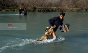 رودخانه سد راه اهالی روستای ده‌ دیک برای رسیدن به شهر+ عکس