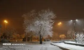 کاشان سفیدپوش شد/بازگشایی راه‌های اصلی و فرعی