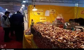 گلایه‌های شهروندان بیرجندی از نمایشگاه بهاره ؛ نمایشگاهی در وسط بیابان با قیمت‌هایی که فرقی با بازار ندارد