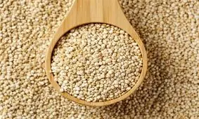 کینوا در لنده جایگزین برنج می‌شود