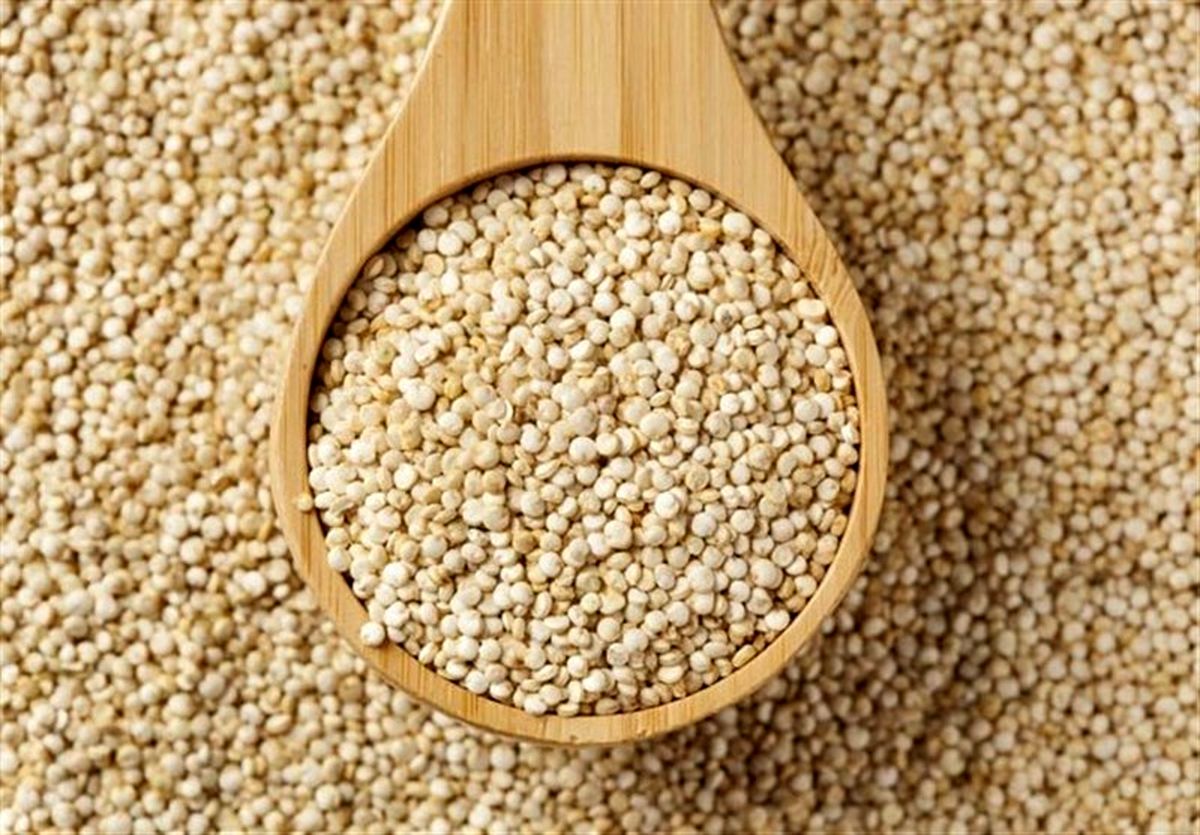 کینوا در لنده جایگزین برنج می‌شود