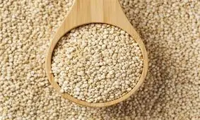 کینوا در لنده جایگزین برنج می‌شود