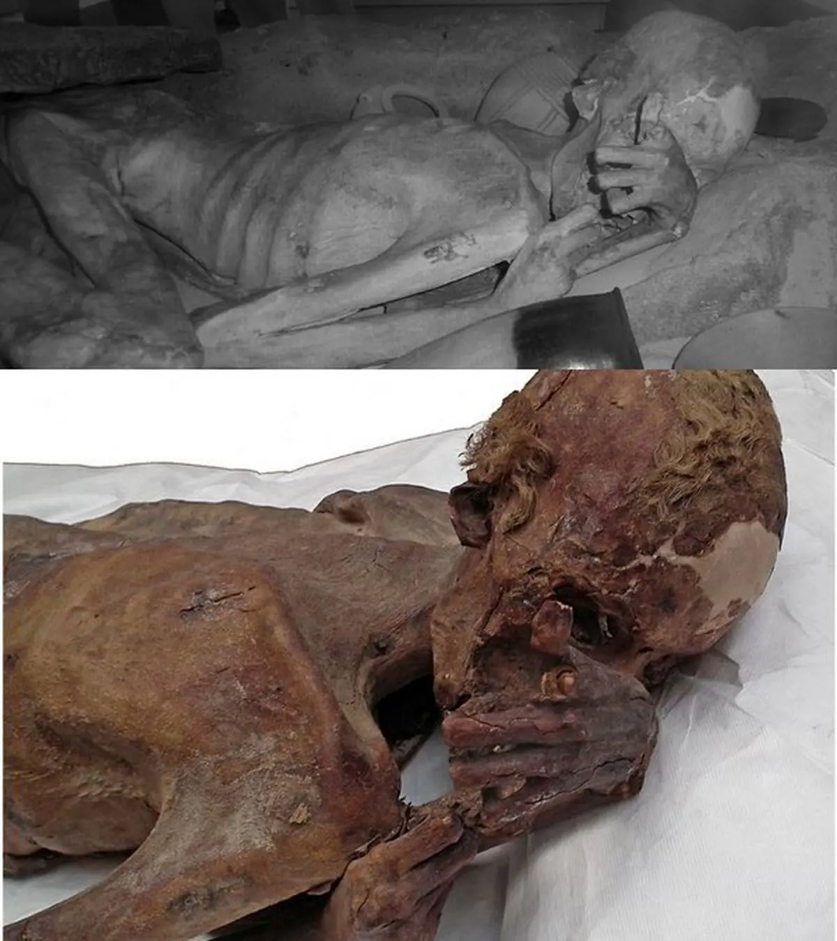 کشف قدیمی ترین تتوی جهان