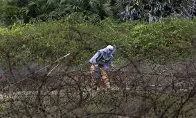 شغل عجیب زنان در خطرناک‌ترین جای جهان