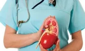 ۱۰ نشانه‌ای که می‌گوید شما بیماری کلیه دارید