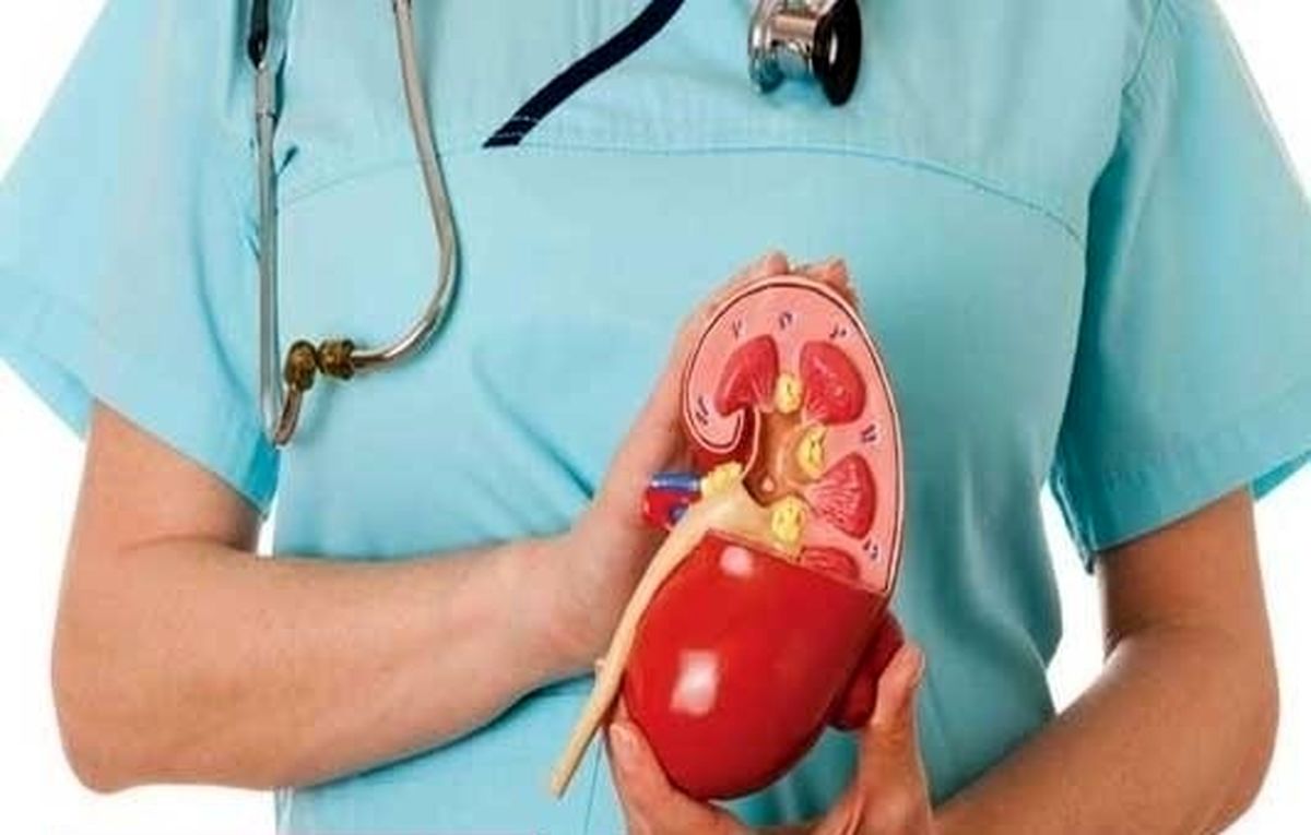 ۱۰ نشانهای که میگوید شما بیماری کلیه دارید